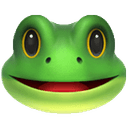 Degen Frog logo