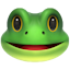 Degen Frog logo